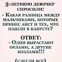 ���� ������, ���������, 57 ��� - ��������� 3 ���� 2024 � ������ ���� ����������