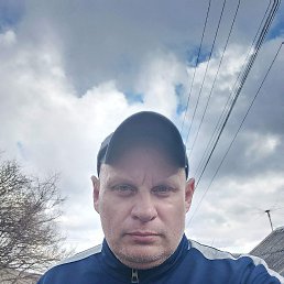, 44, 