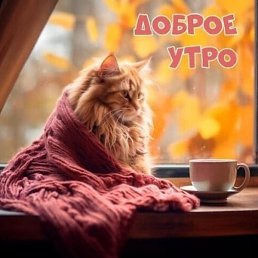 �����, ������, 45 ���