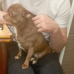 ���� �������, ������, 62 ���� - ��������� 10 ������ 2026