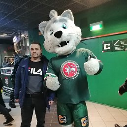���� �����, ������, 46 ��� - ��������� 2 �������� 2026