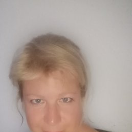 ���� �, ������������ - ��������� 2 ������ 2026