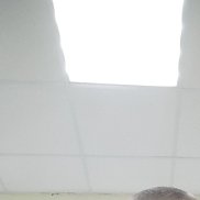, 44 , 