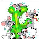 ���� Anna, ������� - ��������� 16 ������� 2025 � ������ ������ ��������