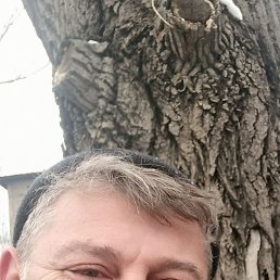 , 53, 