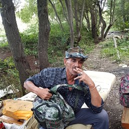 , 61 , -