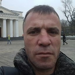 ������, �������, 43 ����