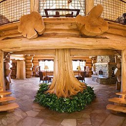 �������, ��������, 49 ���