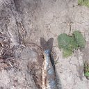 ���� ����� �������, ������, 24 ���� - ��������� 20 ��� 2024