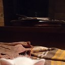 ���� ������, ������, 51 ��� - ��������� 23 �������� 2025