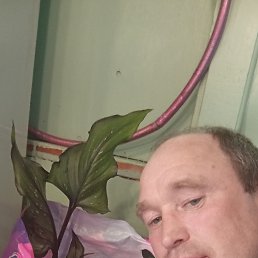 , 47 , 