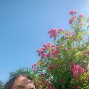 ���� �������, ������, 37 ��� - ��������� 13 ����� 2026 � ������ ���� ����������