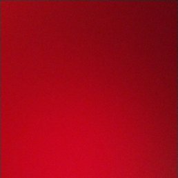 Javed Khan, ����, 21 ���