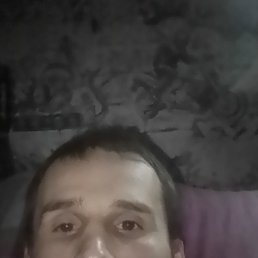 ����, 29 ���, �����������