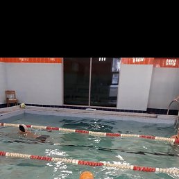 �������, ���������, 66 ���