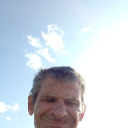 ���� ��������, ������, 63 ���� - ��������� 31 ������� 2023