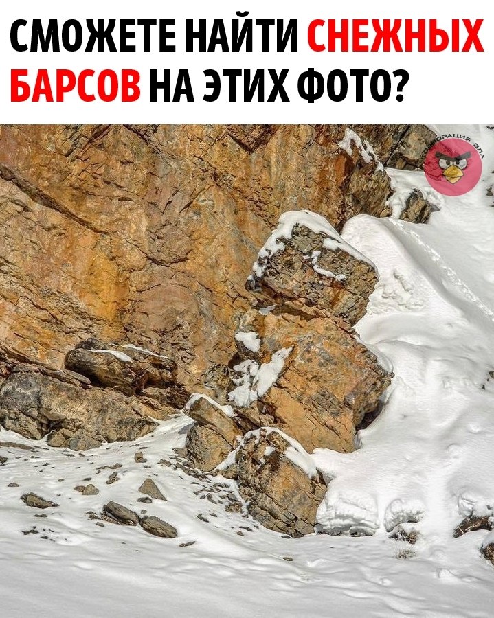   ,     - .      ,   ...