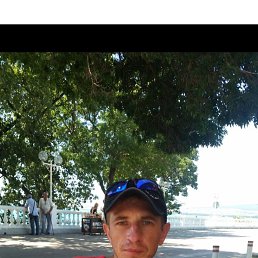 ����, 38 ���, ������