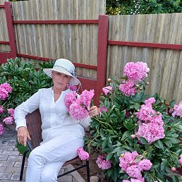 , 65, 