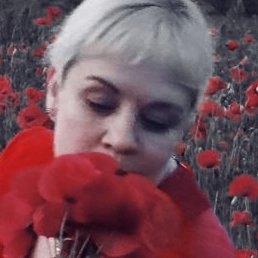 �������, ������, 41 ���