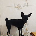 ���� �����, ��������, 49 ��� - ��������� 28 ������ 2025 � ������ ������ ��������