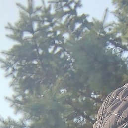 ��������, �����-���������, 27 ���