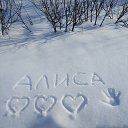 ���� ��������, ����, 46 ��� - ��������� 15 ����� 2026 � ������ ���� ����������