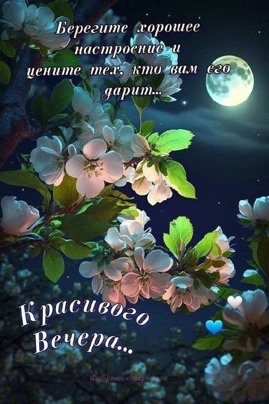  - 15  2024  18:17