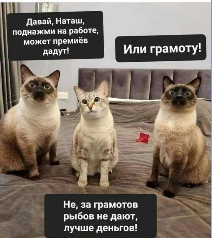 ��� ���� � ����� �� �� - 13 ��� 2026 � 08:25