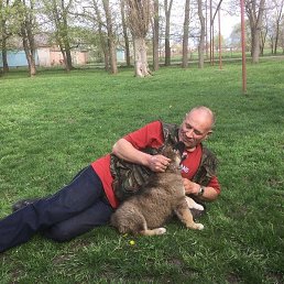 ����, ����������, 66 ���