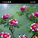 ���� Sarvar, �����, 35 ��� - ��������� 12 ��� 2026 � ������ ���� ����������