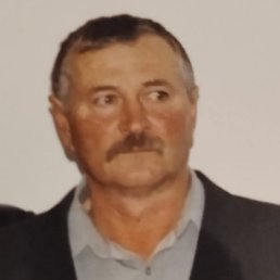 , 57, 