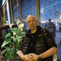 , 44, 