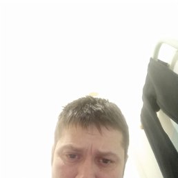 ������, 38 ���, �����