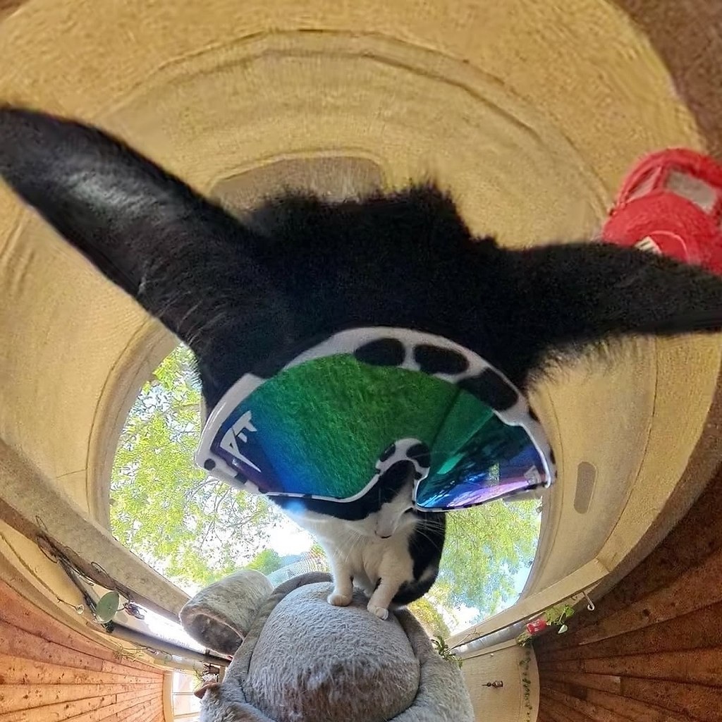 Кто-то осмелится поспорить, что это не самые крутые фотки в интернете? Только попробуйте - 5