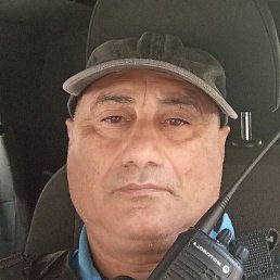 ������, ����, 55 ���