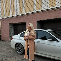 ���� ����������, ������, 33 ���� - ��������� 26 ������ 2025
