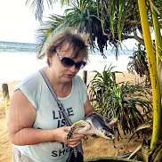 ���������, 63 ����, �����-���������