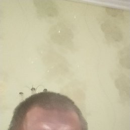 Serega, 41, 