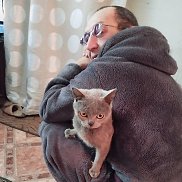 , 55 , 