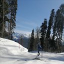 ���� ������, ����������� - ��������� 27 ��� 2024