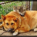 ���� ������, ��������� - ��������� 4 ������� 2025 � ������ ������ ��������