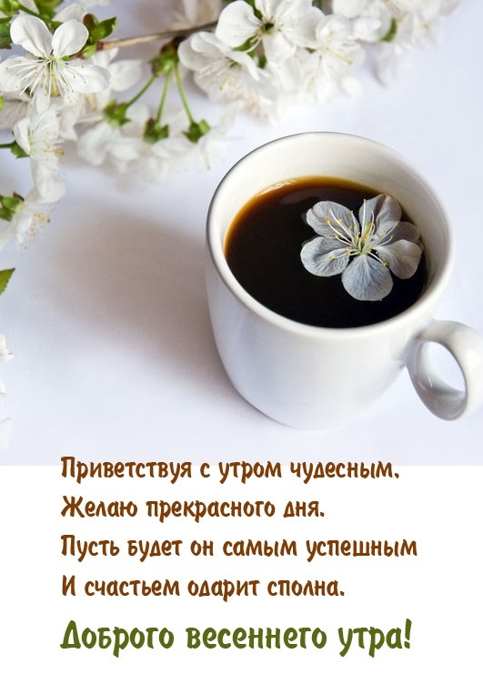 @ - 6  2025  00:31