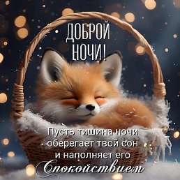 ���� �9473772, �����