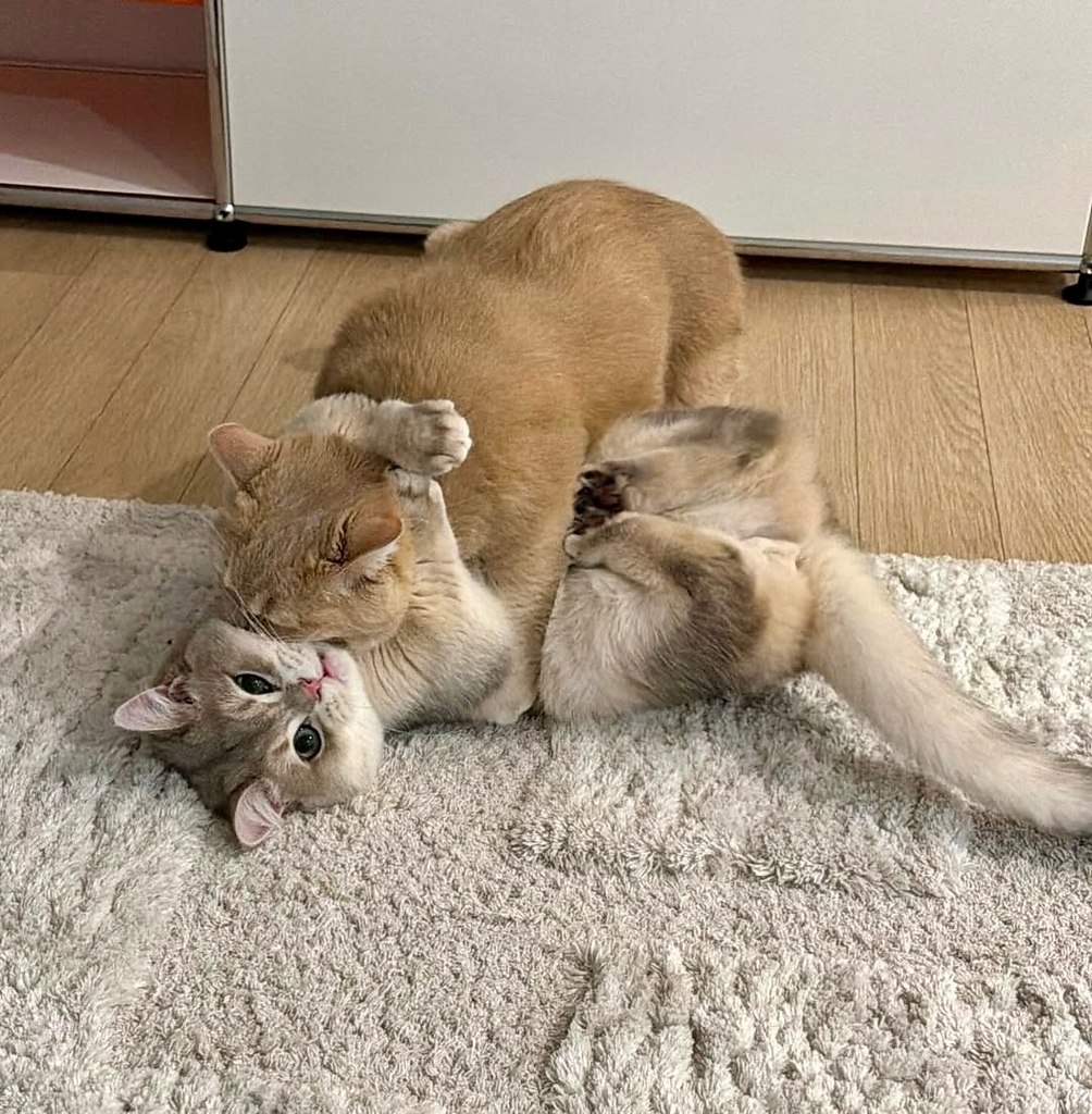 �� �������� ����� �� ����� - ���� ���� - 2