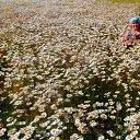 ���� Soledad, ����� - ��������� 27 ���� 2025 � ������ ���� ����������