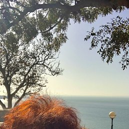  Svetlana, , 65  -  5  2025