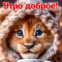 ���� ������, �����, 47 ��� - ��������� 2 ������� 2023