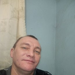 ���������, 39 ���, ���������