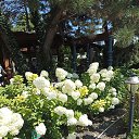 ���� Galina, �������� - ��������� 17 ������ 2026 � ������ ���� ����������